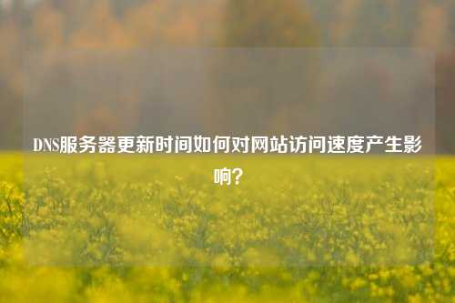 DNS服務(wù)器更新時(shí)間如何對(duì)網(wǎng)站訪問(wèn)速度產(chǎn)生影響？