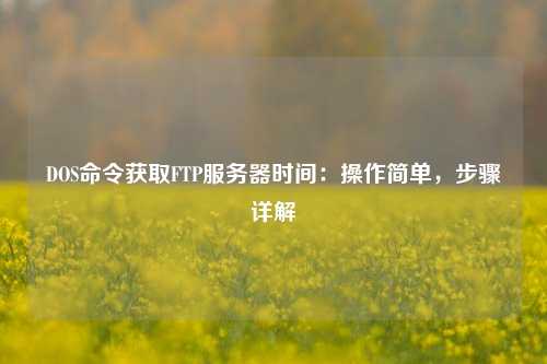 DOS命令獲取FTP服務(wù)器時間：操作簡單，步驟詳解