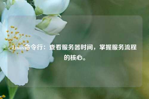 Linux命令行：查看服務器時間，掌握服務流程的核心。