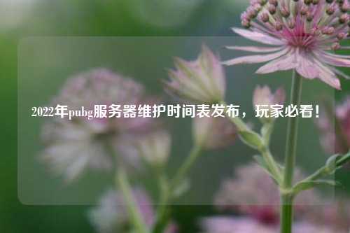 2022年pubg服務(wù)器維護(hù)時間表發(fā)布，玩家必看！