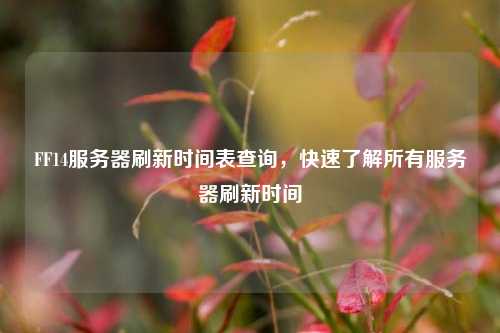 FF14服務(wù)器刷新時(shí)間表查詢，快速了解所有服務(wù)器刷新時(shí)間