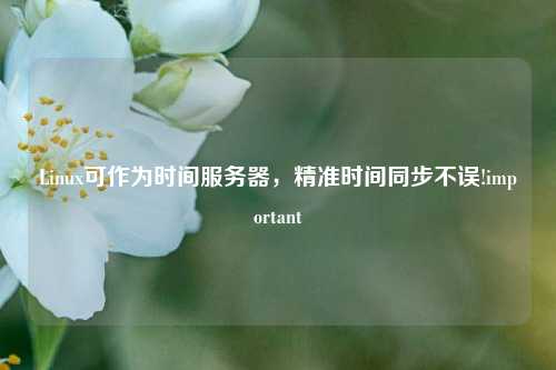 Linux可作為時(shí)間服務(wù)器，精準(zhǔn)時(shí)間同步不誤!important