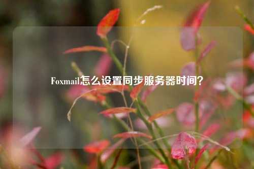 Foxmail怎么設(shè)置同步服務(wù)器時(shí)間？