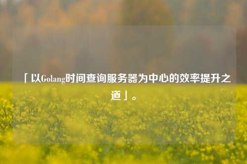 「以Golang時間查詢服務(wù)器為中心的效率提升之道」。