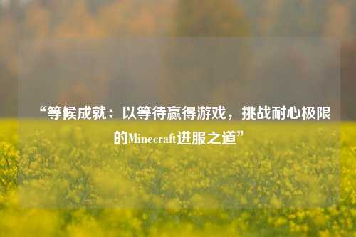 “等候成就：以等待贏得游戲，挑戰(zhàn)耐心極限的Minecraft進(jìn)服之道”