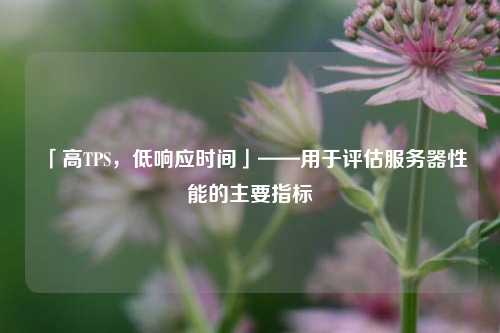 「高TPS，低響應(yīng)時(shí)間」——用于評(píng)估服務(wù)器性能的主要指標(biāo)