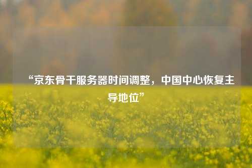 “京東骨干服務(wù)器時(shí)間調(diào)整，中國(guó)中心恢復(fù)主導(dǎo)地位”