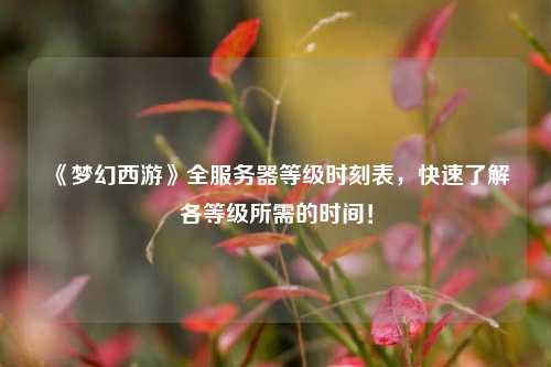 《夢(mèng)幻西游》全服務(wù)器等級(jí)時(shí)刻表，快速了解各等級(jí)所需的時(shí)間！