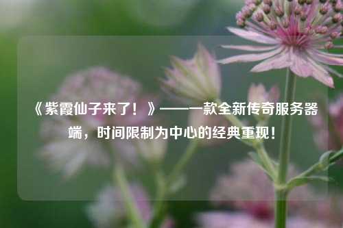 《紫霞仙子來了！》——一款全新傳奇服務(wù)器端，時間限制為中心的經(jīng)典重現(xiàn)！