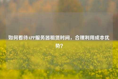 如何看待APP服務(wù)器租賃時(shí)間，合理利用成本優(yōu)勢(shì)？