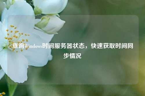 查詢Windows時(shí)間服務(wù)器狀態(tài)，快速獲取時(shí)間同步情況