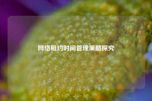 網(wǎng)絡(luò)租約時間管理策略探究