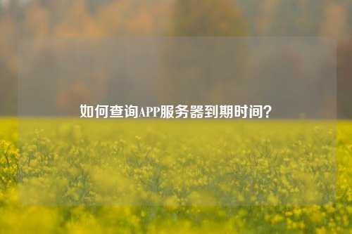 如何查詢APP服務(wù)器到期時間？