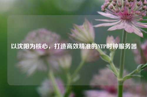 以沈陽(yáng)為核心，打造高效精準(zhǔn)的NTP時(shí)鐘服務(wù)器