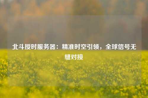 北斗授時服務(wù)器：精準(zhǔn)時空引領(lǐng)，全球信號無縫對接