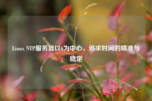 Linux NTP服務(wù)器以6為中心，追求時(shí)間的精準(zhǔn)與穩(wěn)定