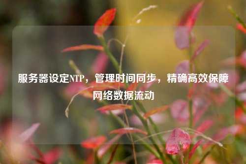 服務(wù)器設(shè)定NTP，管理時(shí)間同步，精確高效保障網(wǎng)絡(luò)數(shù)據(jù)流動(dòng)