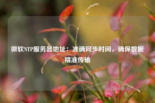 微軟NTP服務(wù)器地址：準(zhǔn)確同步時間，確保數(shù)據(jù)精準(zhǔn)傳輸