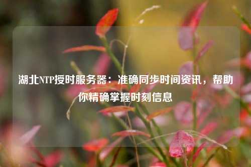 湖北NTP授時服務器：準確同步時間資訊，幫助你精確掌握時刻信息