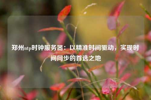 鄭州ntp時(shí)鐘服務(wù)器：以精準(zhǔn)時(shí)間驅(qū)動(dòng)，實(shí)現(xiàn)時(shí)間同步的首選之地