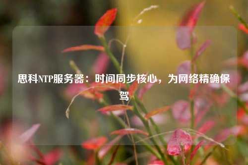 思科NTP服務(wù)器：時間同步核心，為網(wǎng)絡(luò)精確保駕