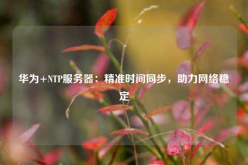 華為+NTP服務(wù)器：精準(zhǔn)時(shí)間同步，助力網(wǎng)絡(luò)穩(wěn)定