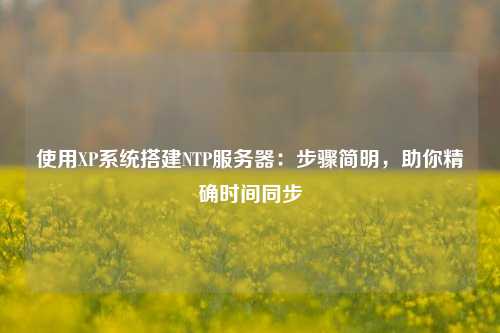 使用XP系統(tǒng)搭建NTP服務(wù)器：步驟簡明，助你精確時(shí)間同步