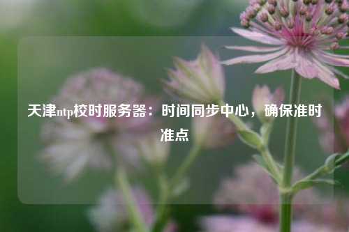 天津ntp校時(shí)服務(wù)器：時(shí)間同步中心，確保準(zhǔn)時(shí)準(zhǔn)點(diǎn)