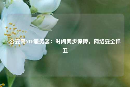 公安網(wǎng)NTP服務(wù)器：時(shí)間同步保障，網(wǎng)絡(luò)安全捍衛(wèi)