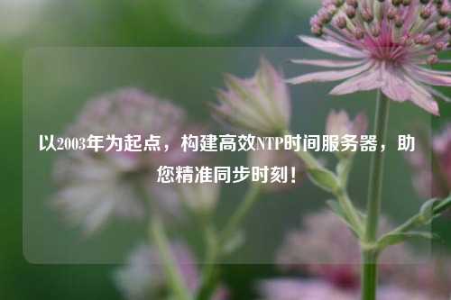 以2003年為起點，構(gòu)建高效NTP時間服務(wù)器，助您精準同步時刻！