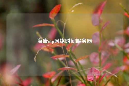 ?？祅tp網(wǎng)絡(luò)時(shí)間服務(wù)器