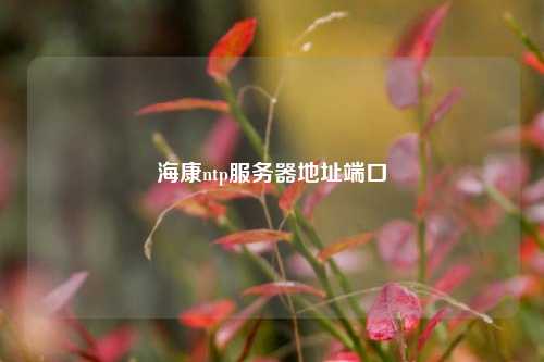 ?？祅tp服務(wù)器地址端口