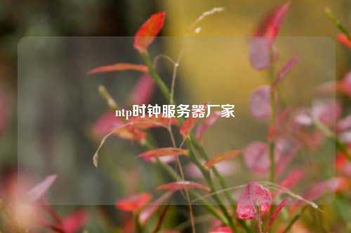ntp時鐘服務(wù)器廠家