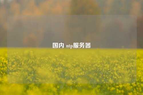 國(guó)內(nèi) ntp服務(wù)器