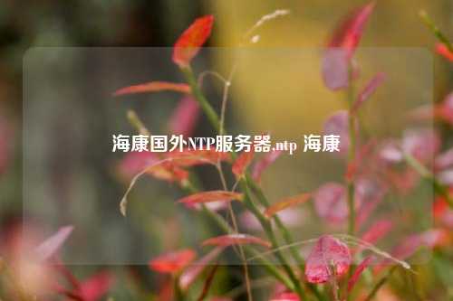 ?？祰釴TP服務(wù)器,ntp ?？? /></a></div>        <div   id=