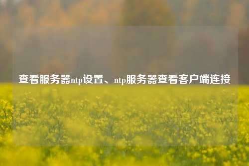 查看服務(wù)器ntp設(shè)置、ntp服務(wù)器查看客戶端連接